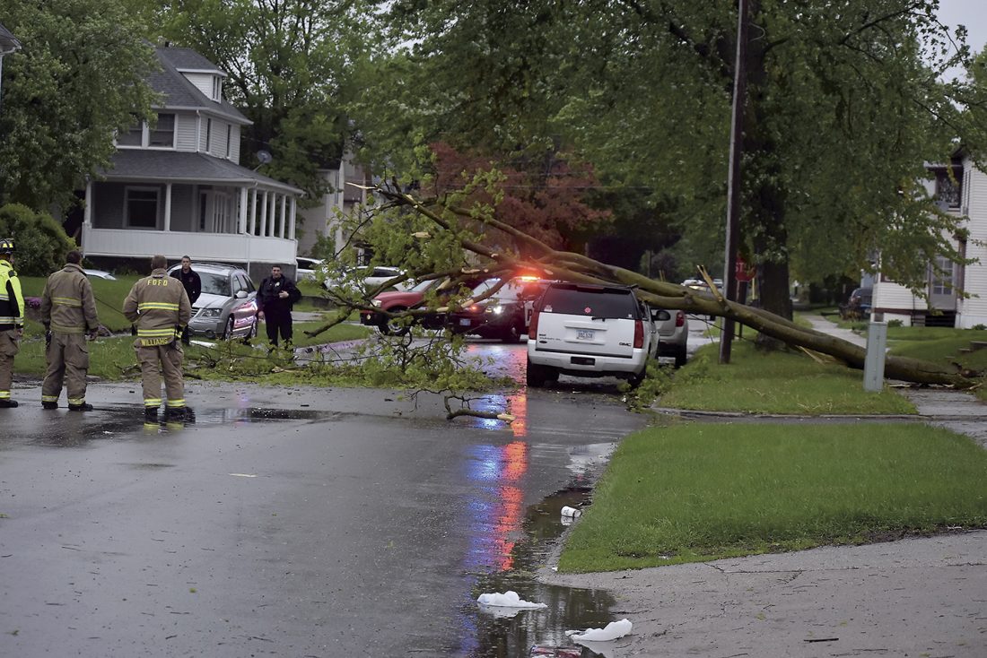 High wind gusts take down trees, knock out power | News, Sports, Jobs ...